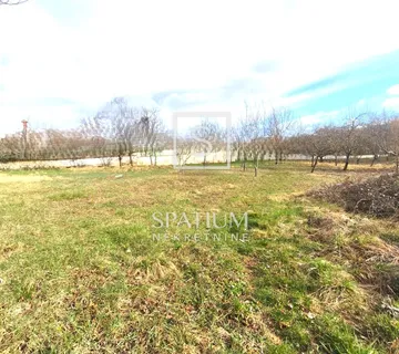 PAZIN, GRAĐEVINSKO ZEMLJIŠTE - cover