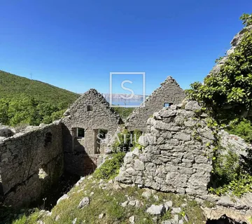 DRINAK, AUTOHTONA STARA KAMENA KUĆA NA PROSTRANOJ PARCELI - cover