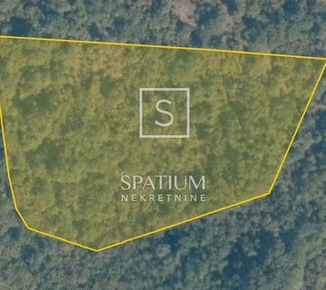 POREČ, ŠUMA POVRŠINE 19.200 M² NA MIRNOJ LOKACIJI - cover