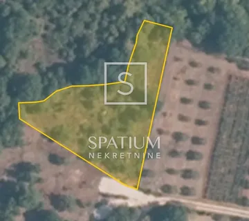 ROVINJ, POLJOPRIVREDNO ZEMLJIŠTE NADOMAK GRADA I MORA - cover