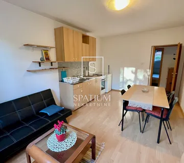 DONJA DRENOVA, PRIZEMNA ETAŽA VIŠEOBITELJSKE KUĆE - cover