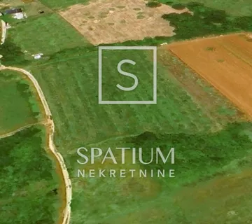 TAR, MASLINIK NA ATRAKTIVNOJ LOKACIJI 600M OD MORA - cover