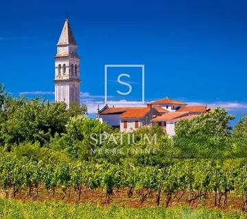 LIŽNJAN, KUĆA U NIZU SA ZAPOČETOM RENOVACIJOM - cover