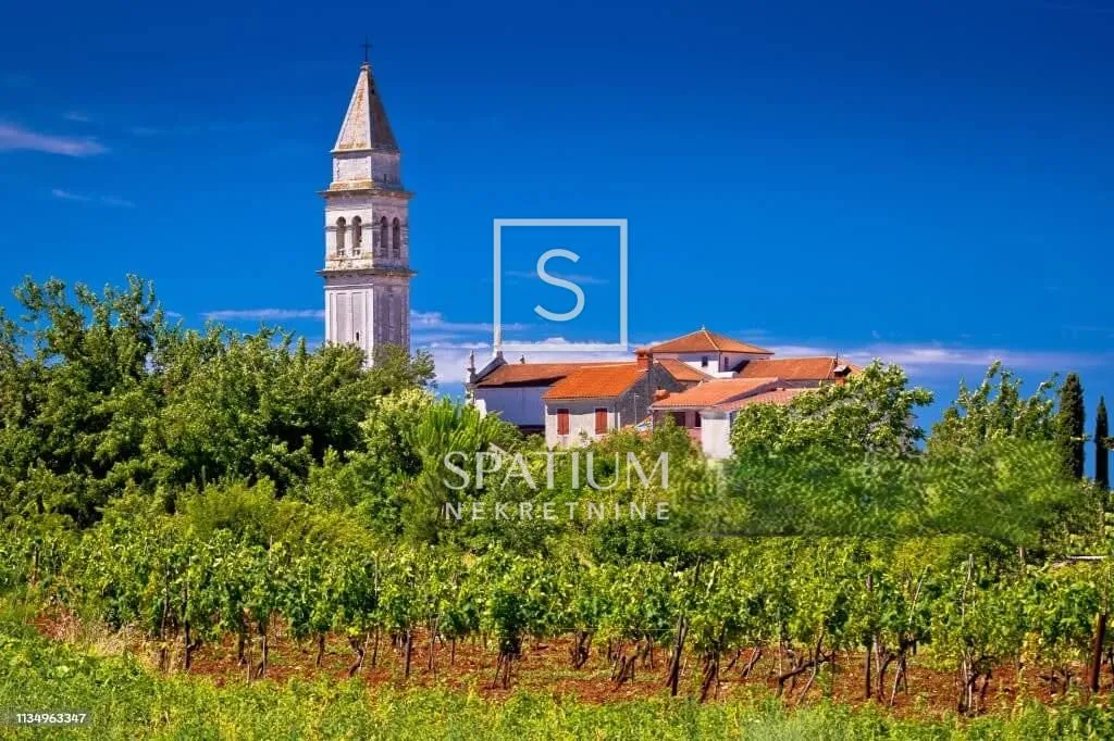 LIŽNJAN, KUĆA U NIZU SA ZAPOČETOM RENOVACIJOM - cover