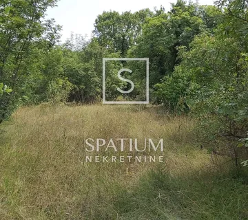 ŠAJINI, PROSTRANO POLJOPRIVREDNO ZEMLJIŠTE - cover