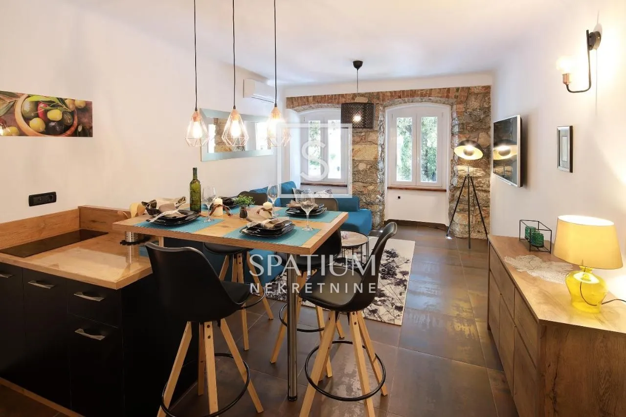 RIJEKA, CENTAR, PRODAJA UHODANOG POSLOVANJA, 3 APARTMANA - cover