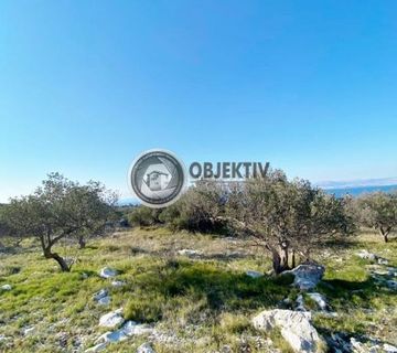 OTOK BRAČ POLJOPRIVREDNO ZEMLJIŠTE (MASLINIK) 6900m2 - cover