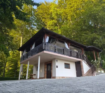 Šarmantna kuća s velikom okućnicom - cover