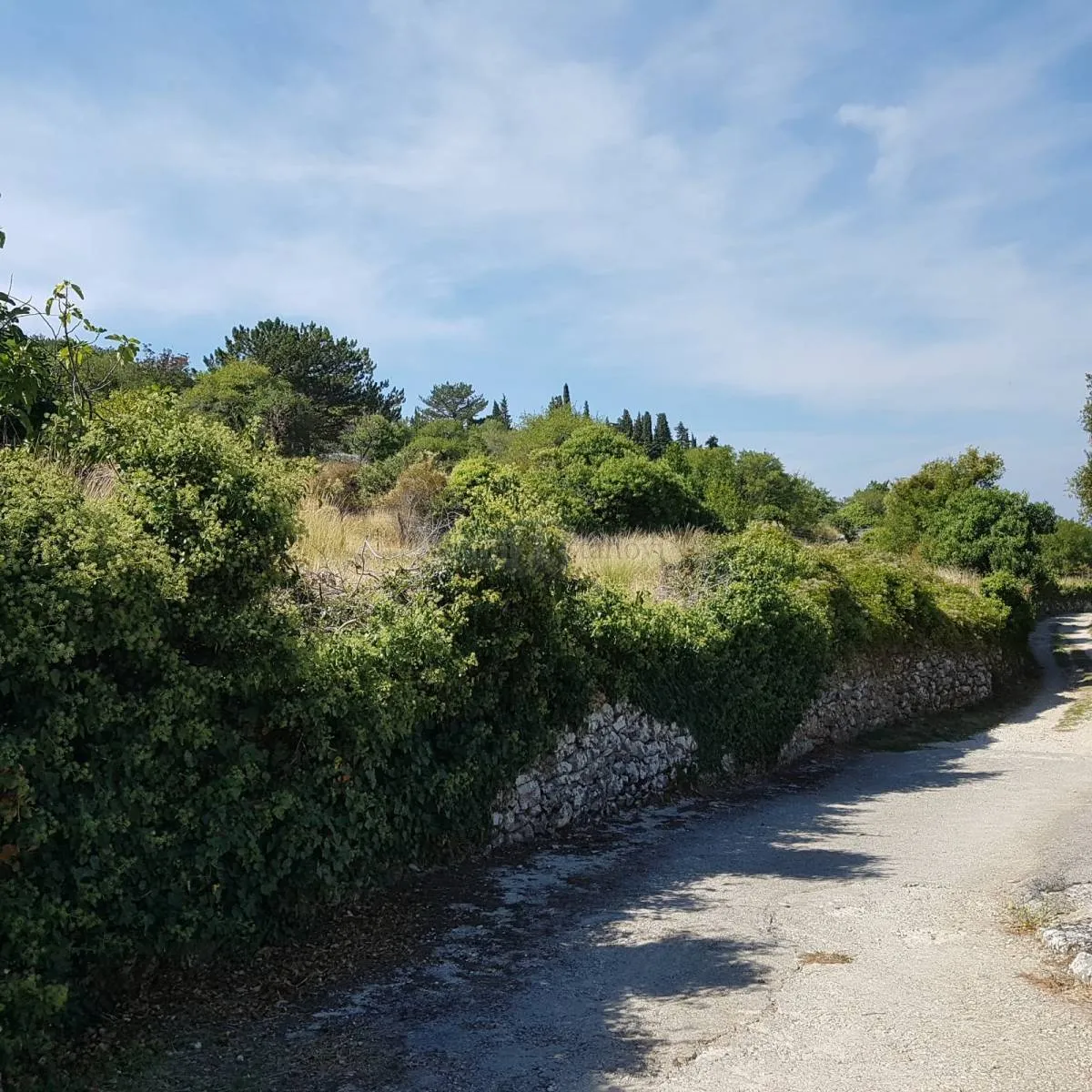 Dva građevinska zemljišta veličine 1.171,5 m² na Otoku Braču – Nerežišća - cover