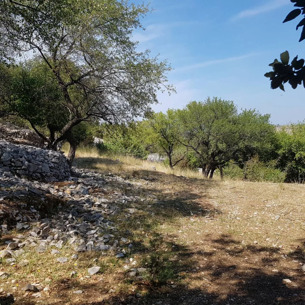 Građevinsko zemljište veličine 2.343 m² na Otoku Braču – Nerežišća - cover