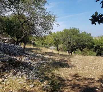 Građevinsko zemljište veličine 2.343 m² na Otoku Braču – Nerežišća