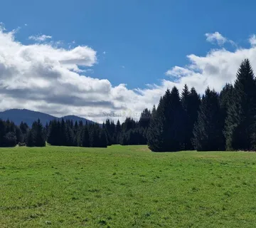 Ravna Gora, šuma i poljoprivredno zemljište, 13.494 m2 - cover