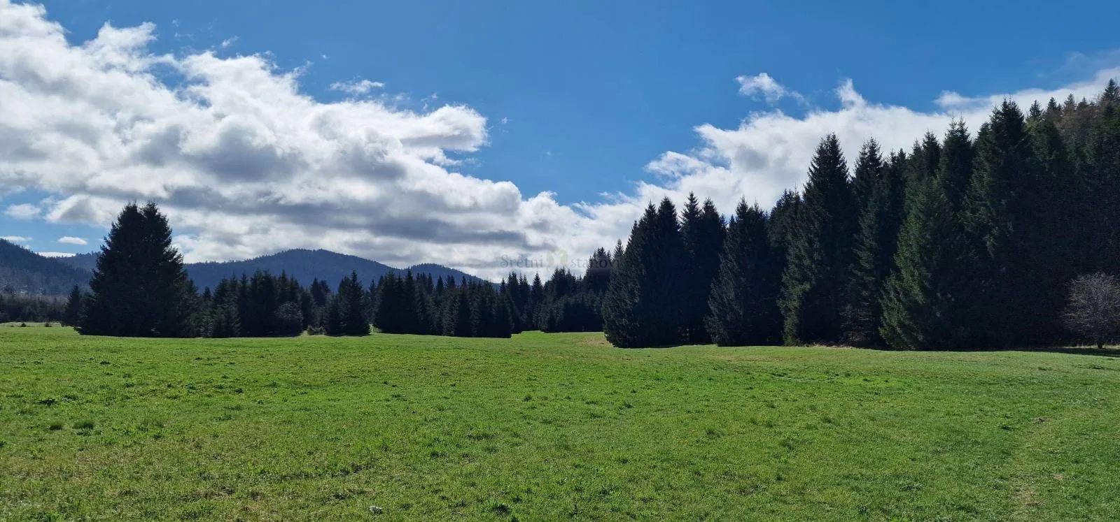 Ravna Gora, šuma i poljoprivredno zemljište, 13.494 m2 - cover