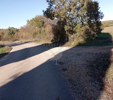 PRODAJA, POLJOPRIVREDNO ZEMLJIŠTE, MARČANA, 11.500 m2 - cover