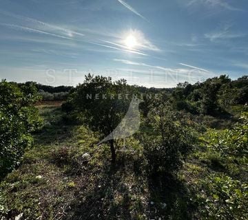 PRODAJA, POLJOPRIVREDNO ZEMLJIŠTE, PERUŠKI, KRNICA, 359 m2 - cover