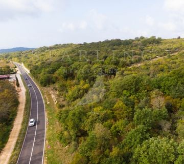 POLJOPRIVREDNO ZEMLJIŠTE, PRODAJA, ROVINJ, 125.719 m2 - cover