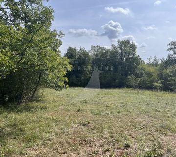 GRAĐEVINSKO ZEMLJIŠTE, PRODAJA, OPĆINA GROŽNJAN, 1186m2 - cover