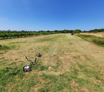 GRAĐEVINSKO ZEMLJIŠTE, PRODAJA, VALTURA, LIŽNJAN, 900 M2 - cover