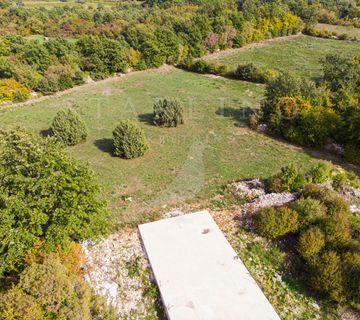 ZEMLJIŠTE SA DOZVOLOM, PRODAJA, SVETVINČENAT, 20.132 m2 - cover