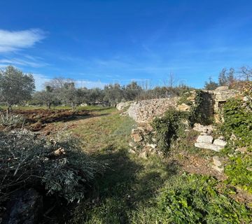 PRODAJA, KUĆA RUŠEVNA, FAŽANA, 134 M2 - cover