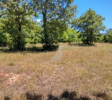 ZEMLJIŠTE, PRODAJA, TAR, 7.100 m2 - cover