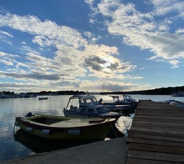 PRODAJA, KUĆA I RESTORAN, MEDULIN, 324 M2 - cover