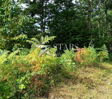 Popovo selo - Poljoprivredno zemljište – 53.418 m² (šuma, oranice, pašnjaci, livade) - cover