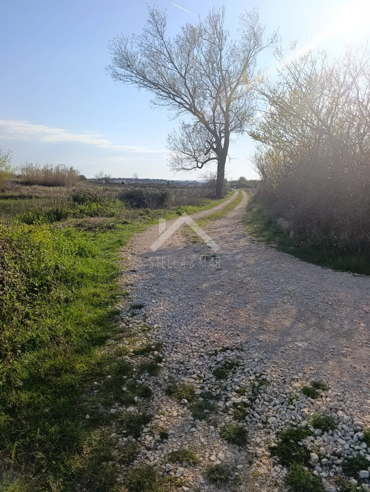 Poljoprivredno zemljište - Privlaka - cover