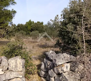 Poljoprivredno zemljište-VIR
