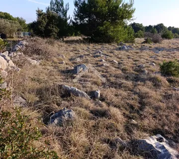 Poljoprivredno zemljište 600m2 - Vir