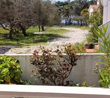 Prizemnica + studio apartman i garaža, 50m od mora -Vir - cover