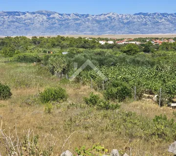 Poljoprivredno zemljište - Vir  - cover