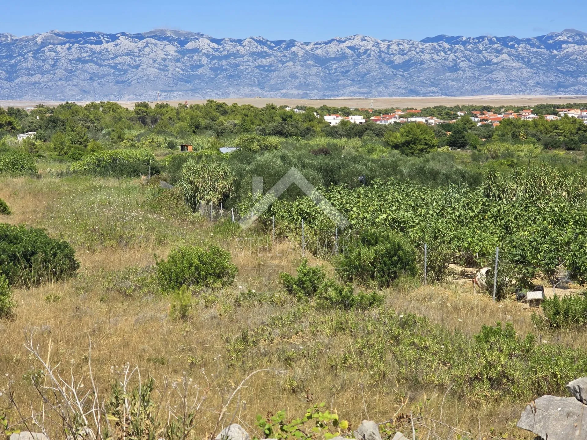 Poljoprivredno zemljište - Vir  - cover