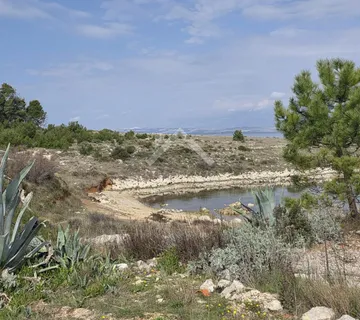 Poljoprivredno zemljište - Vir  - cover