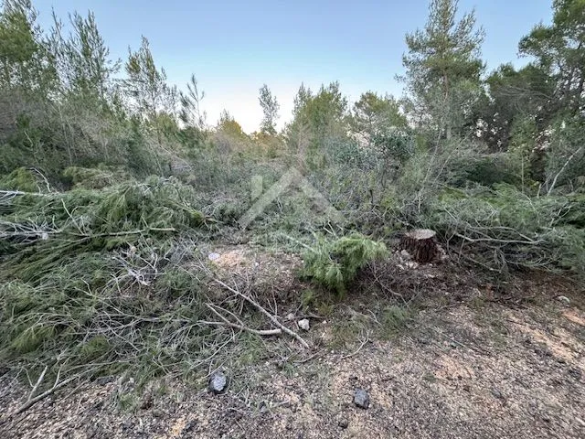 Poljoprivredno zemljište - Sukošan  - cover