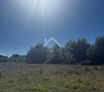 Poljoprivrendo zemljište, južna strana - Vir  - cover