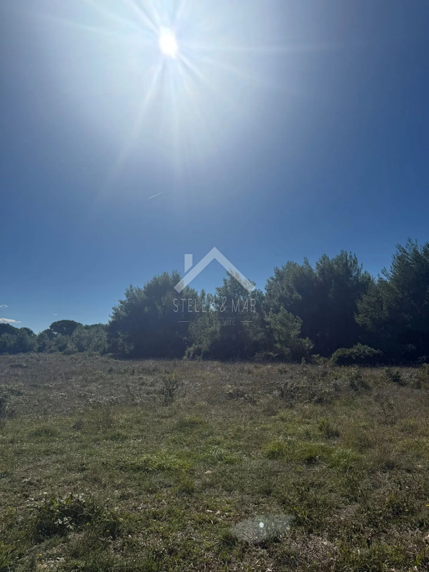 Poljoprivrendo zemljište, južna strana - Vir  - cover