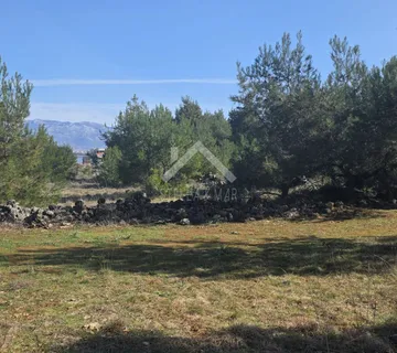 Poljoprivredno zemljište - Vir  - cover