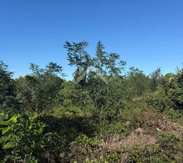 Građevinsko zemljište  ( UPU ) - Vir  - cover