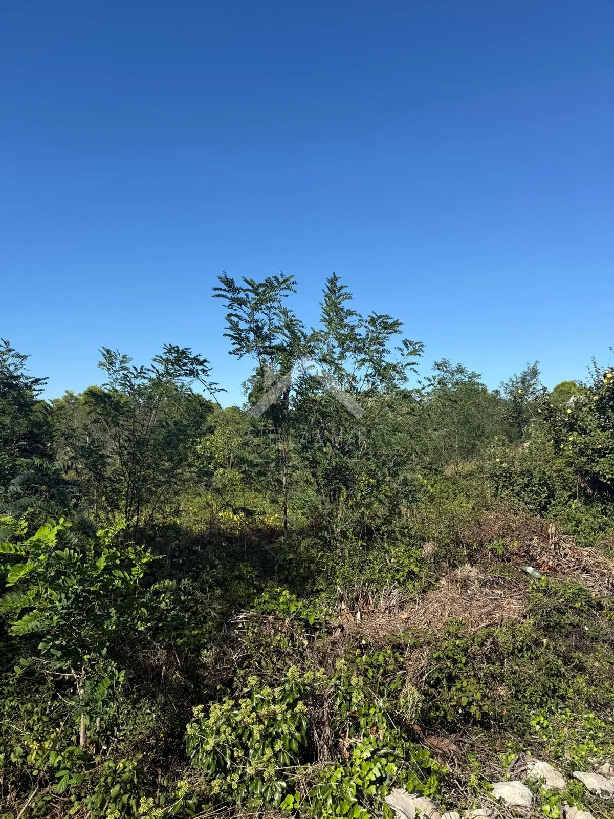 Građevinsko zemljište  ( UPU ) - Vir  - cover