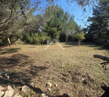 Poljoprivredno zemljište, južna strana - Vir  - cover