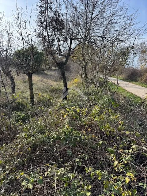 Građevinsko zemljjište - Dračevac Ninski  - cover