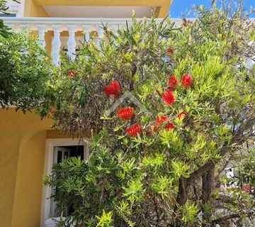 Kuća sa 3 apartmana - Vir  - cover