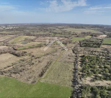 Poljoprivredno zemljište 10300m2 - Poljica Brig, Zadar - cover