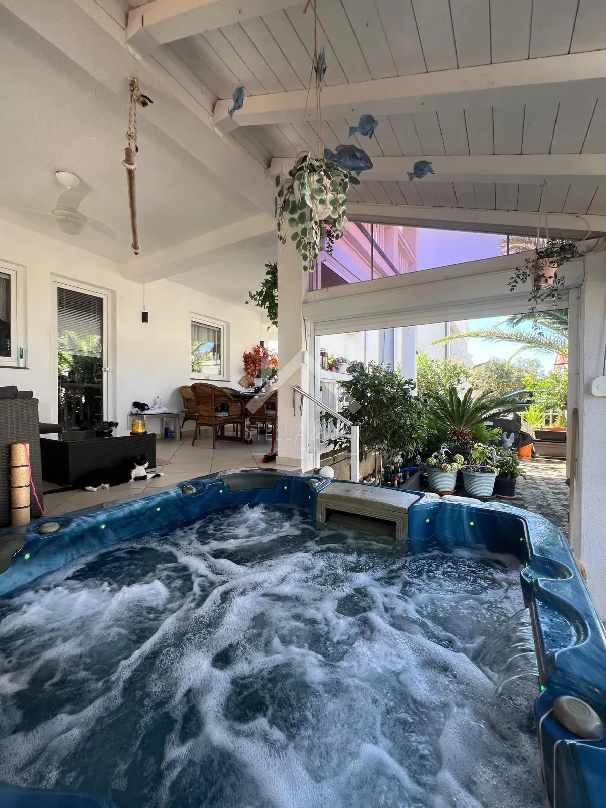 Predivna komforna kuća 80m do mora - Vir, južna strana - cover