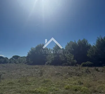 Poljoprivredno zemljište - Vir  - cover