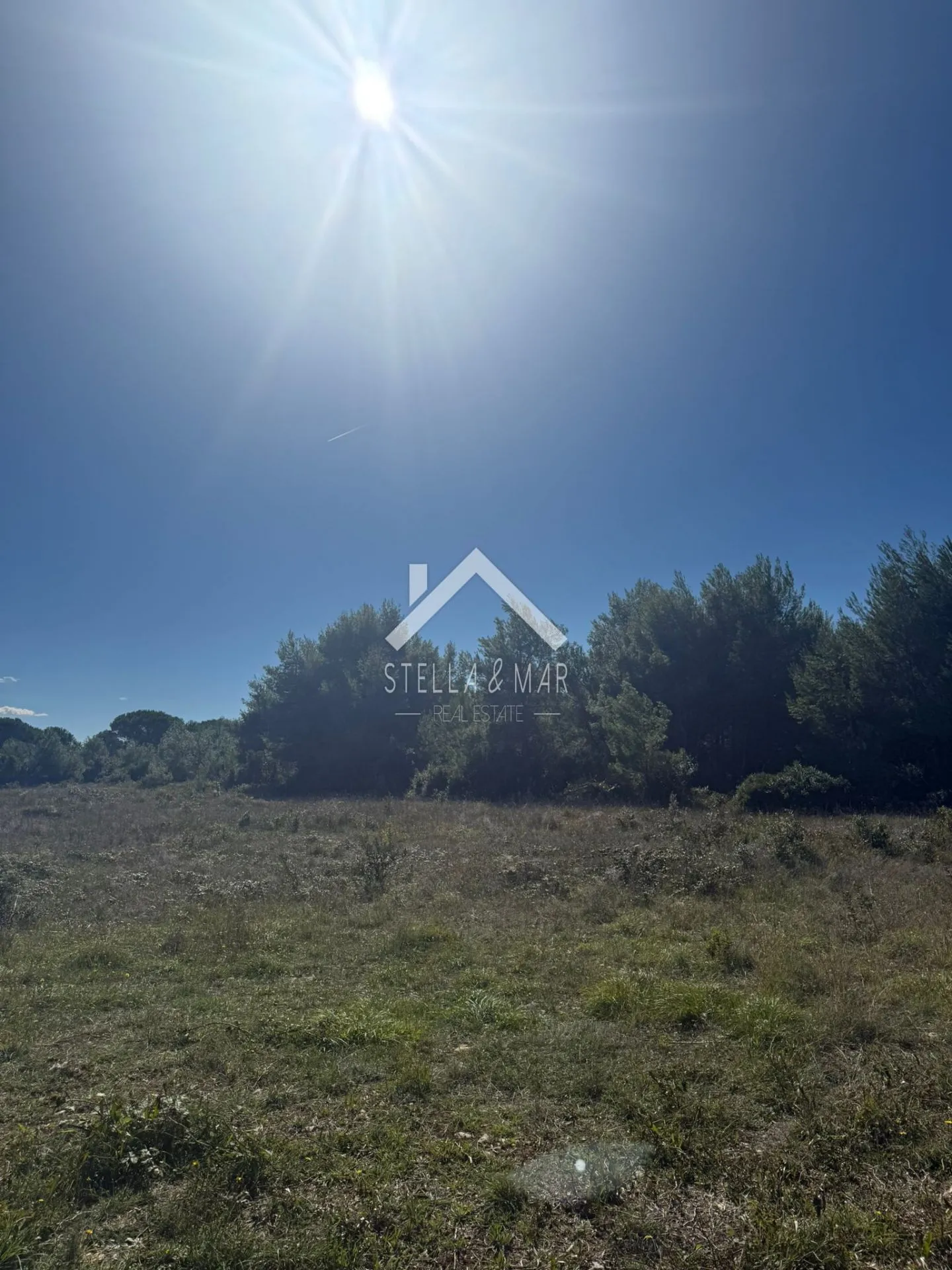 Poljoprivredno zemljište - Vir  - cover