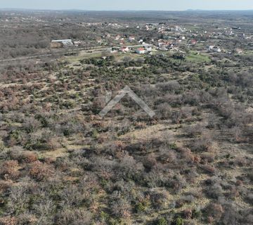 Poljoprivredno zemljište 10000m2 - Poljica Brig, Zadar - cover
