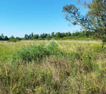 Poljoprivredno zemljište - Dračevac Ninski  - cover