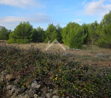 Poljoprivredno zemljište  - Vir - cover